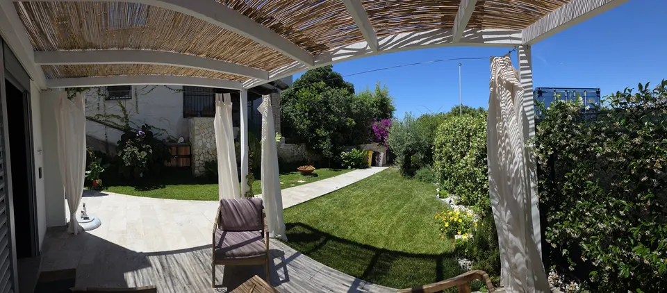 Il prato e le piante del giardino in una giornata di sole
