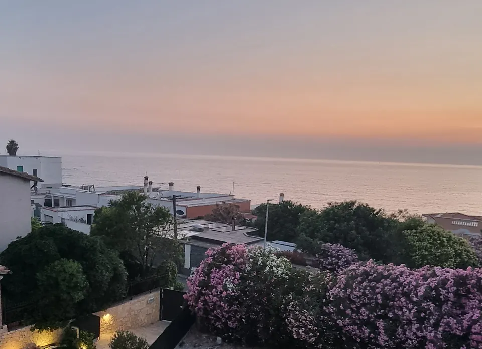 Il mare al tramonto sopra i tetti e gli oleandri di Punta del Pecoraro